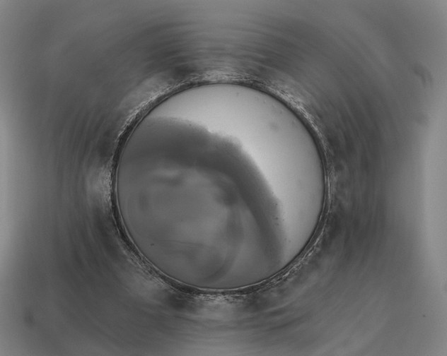 X0000115090297200911101529