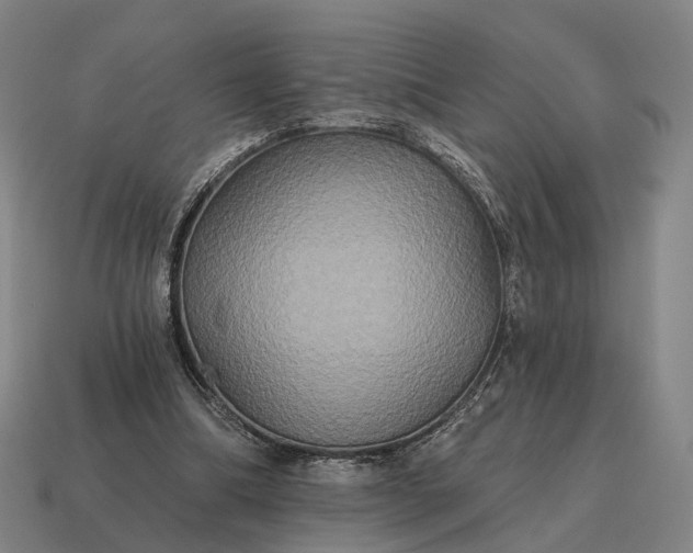 X0000115090298200911101529