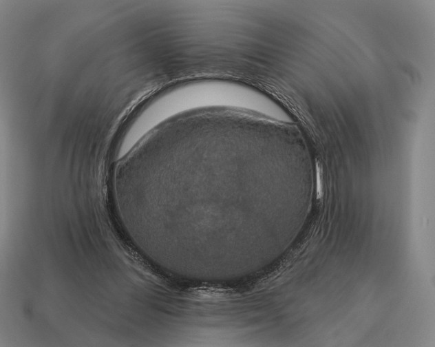 X0000115090300200911101529