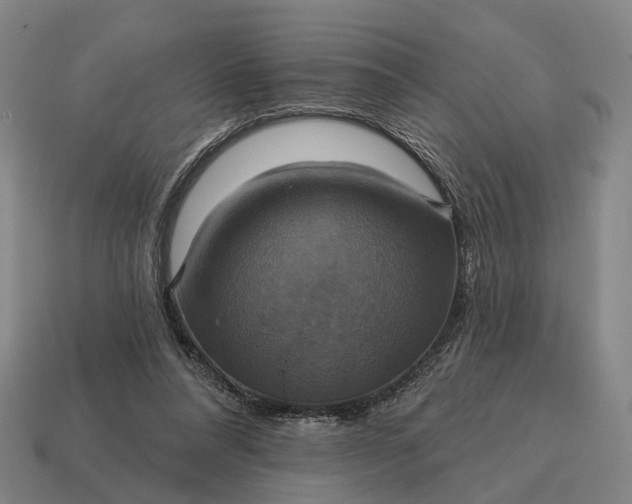 X0000115090304200911101529