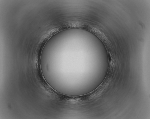 X0000115090306200911101529
