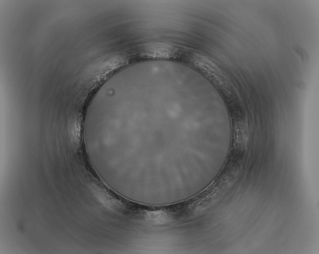 X0000115090309200911101529