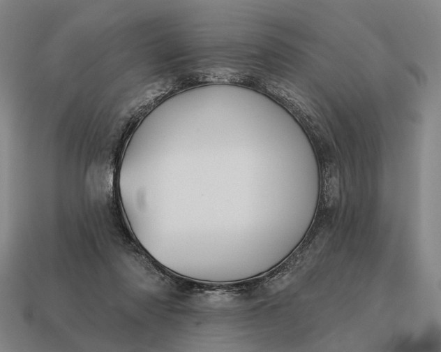 X0000115090310200911101529