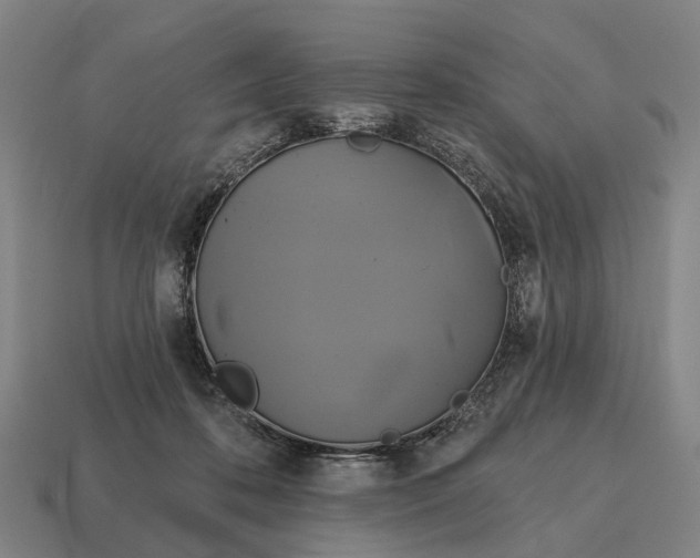 X0000115090316200911101529