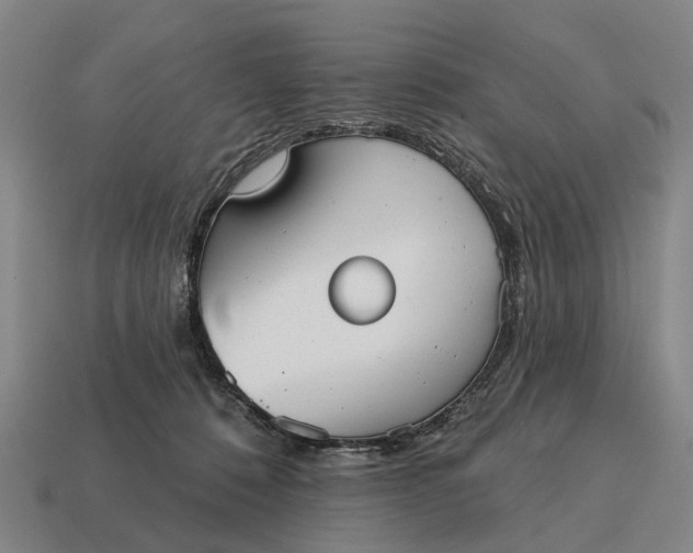 X0000115090320200911101529