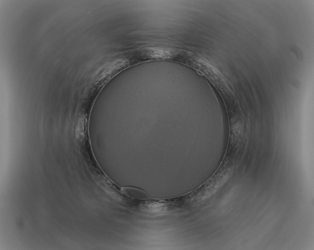 X0000115090325200911101529