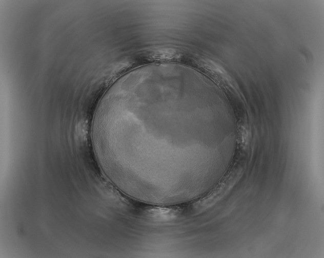 X0000115090326200911101529