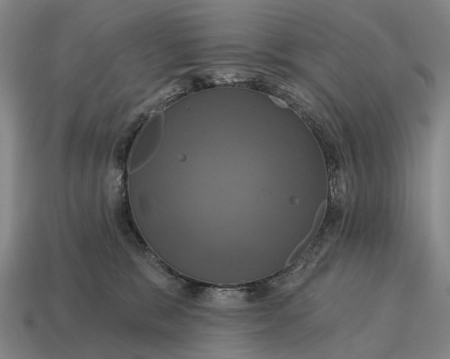 X0000115090327200911101529
