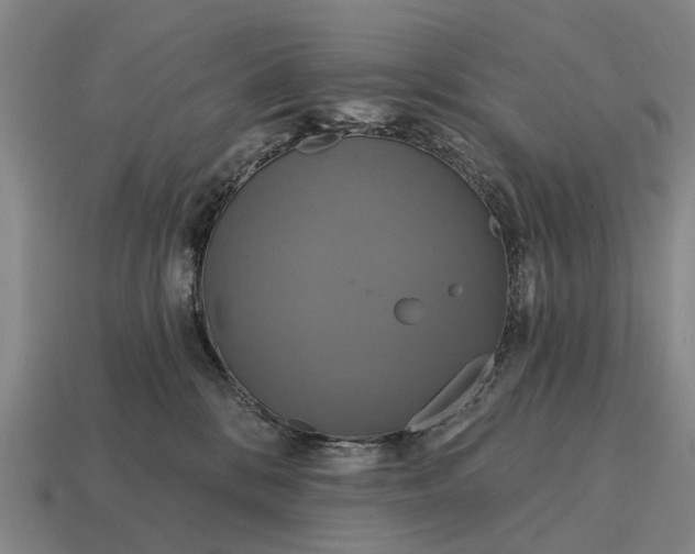 X0000115090328200911101529