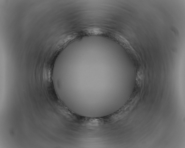 X0000115090330200911101529