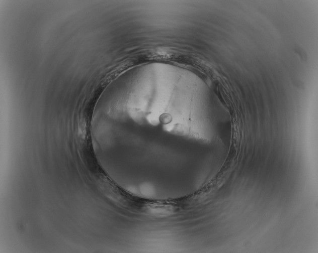 X0000115090331200911101529