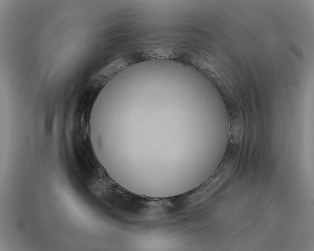 X0000115090334200911101529
