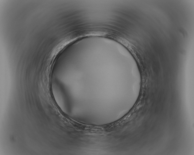 X0000115090337200911101528