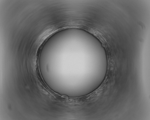 X0000115090338200911101528