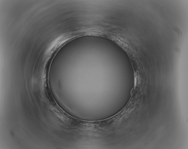 X0000115090339200911101528