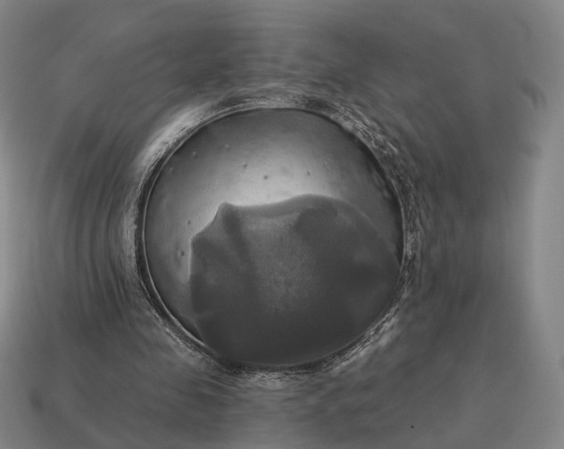 X0000115090341200911101528