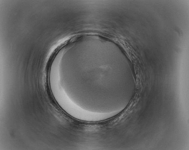 X0000115090342200911101528