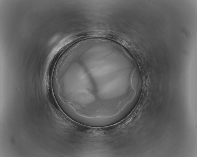 X0000115090343200911101528