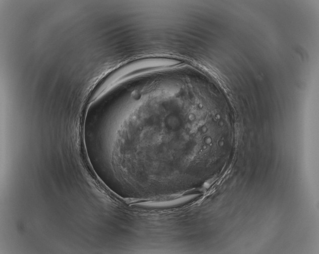 X0000115090345200911101528
