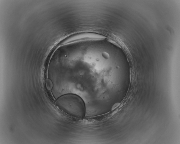 X0000115090346200911101528