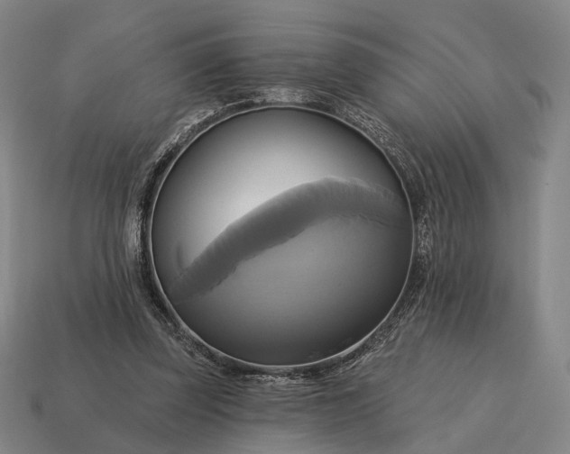 X0000115090347200911101528