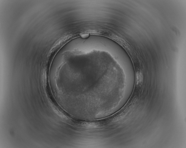 X0000115090349200911101528