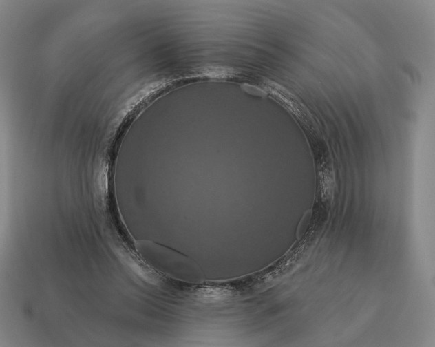 X0000115090350200911101528