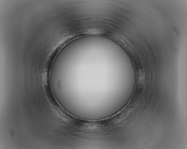 X0000115090351200911101528