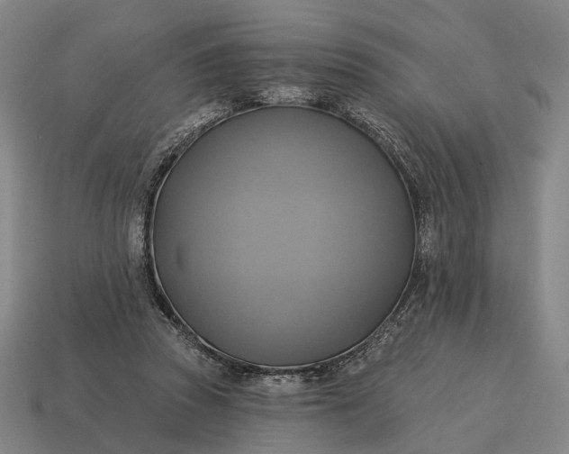X0000115090353200911101528