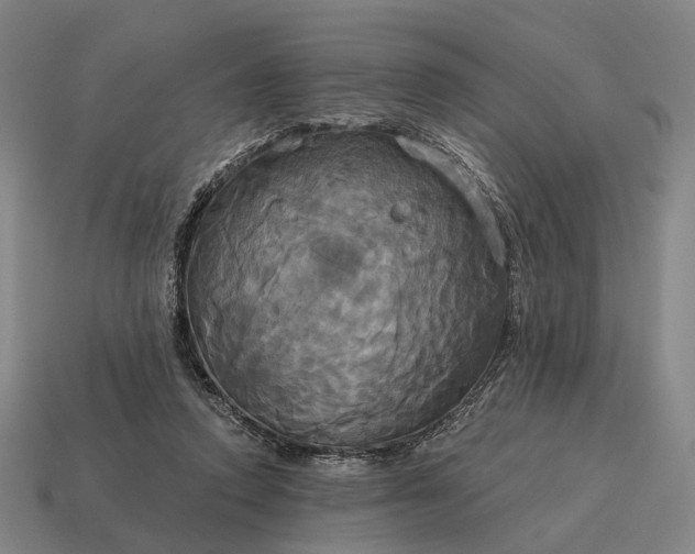 X0000115090354200911101528
