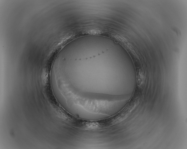 X0000115090355200911101528