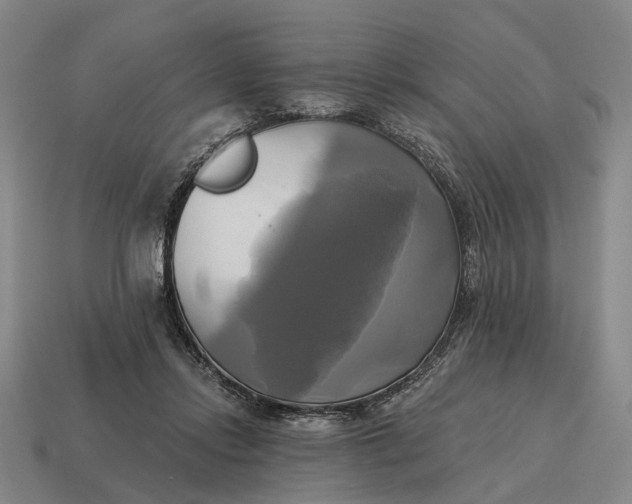 X0000115090358200911101528