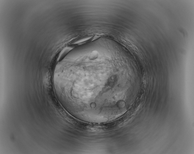 X0000115090359200911101528