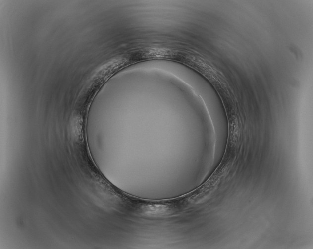 X0000115090361200911101528