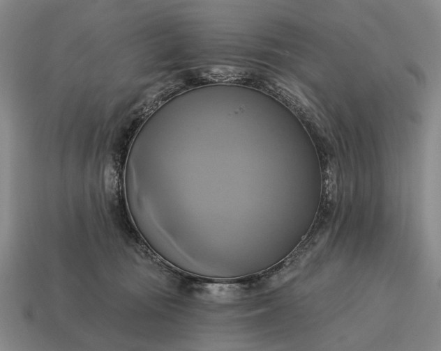 X0000115090371200911101529
