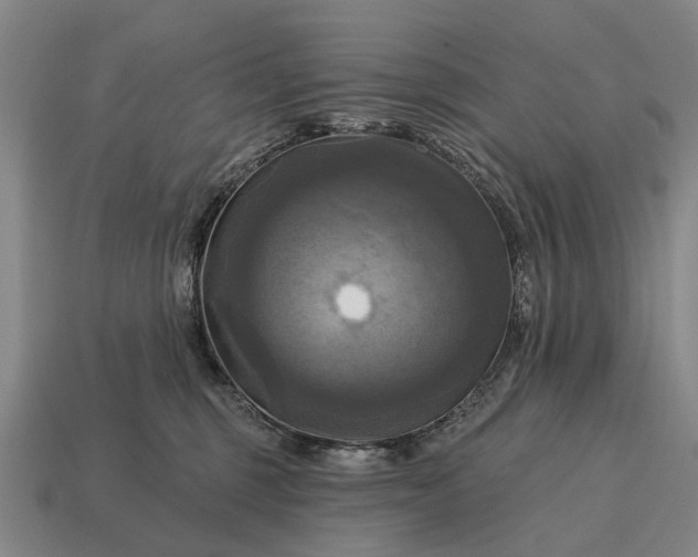 X0000115090375200911101529