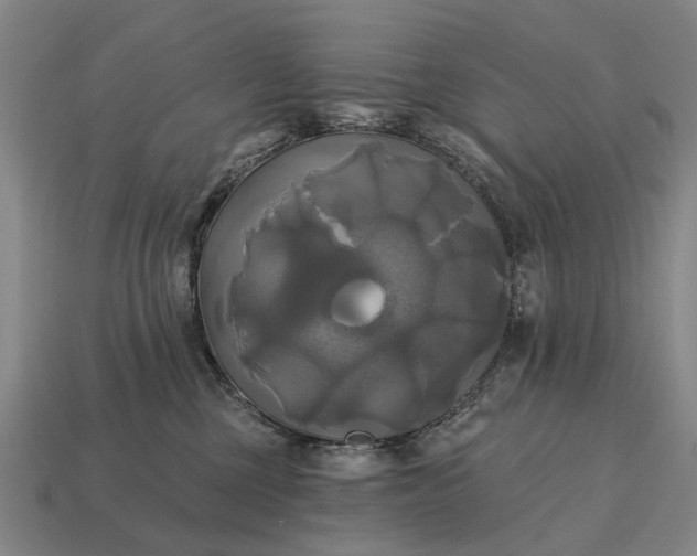 X0000115090377200911101529