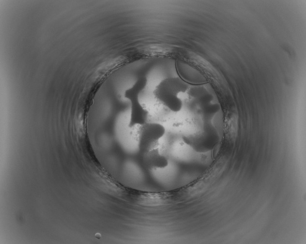 X0000115090381200911101529