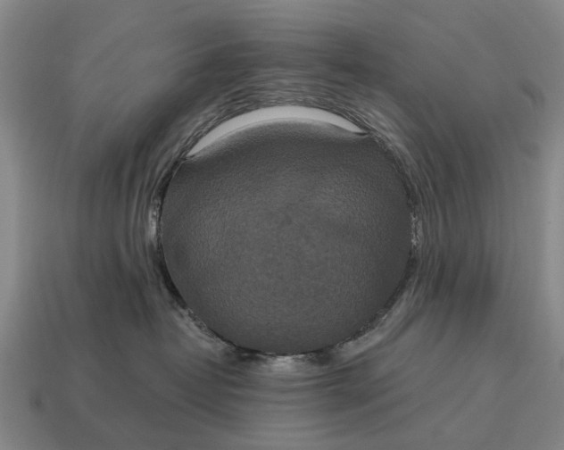 X0000115090382200911101529