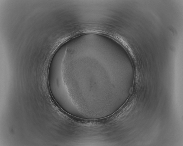 X0000115090385200911101528