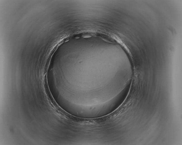 X0000115090386200911101528