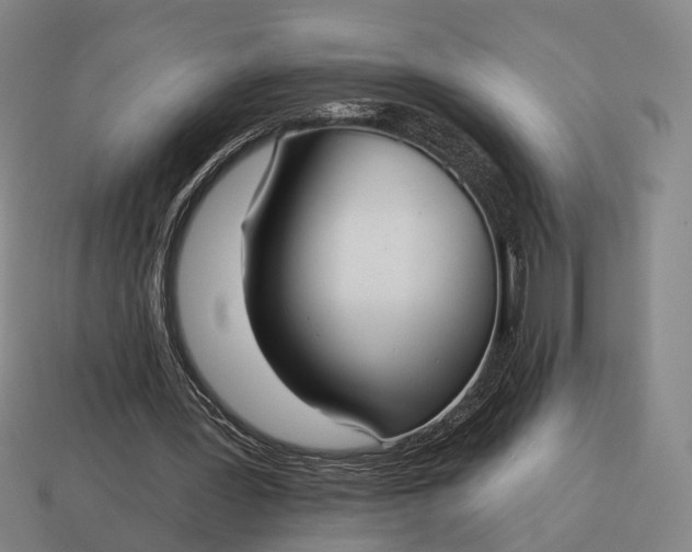 X0000115090387200911101528