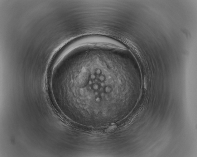 X0000115090388200911101528
