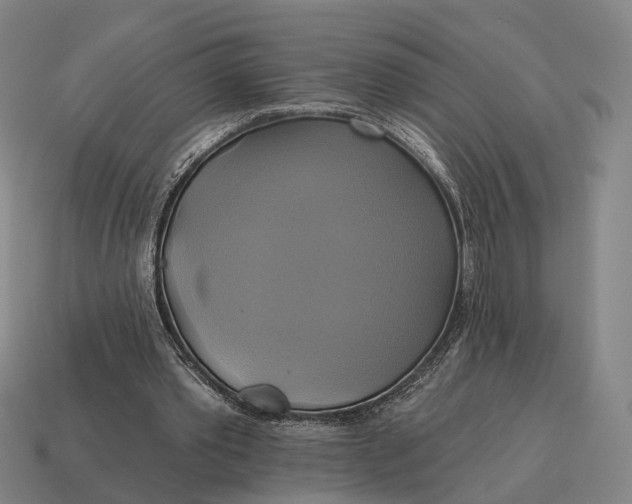 X0000115090389200911101528