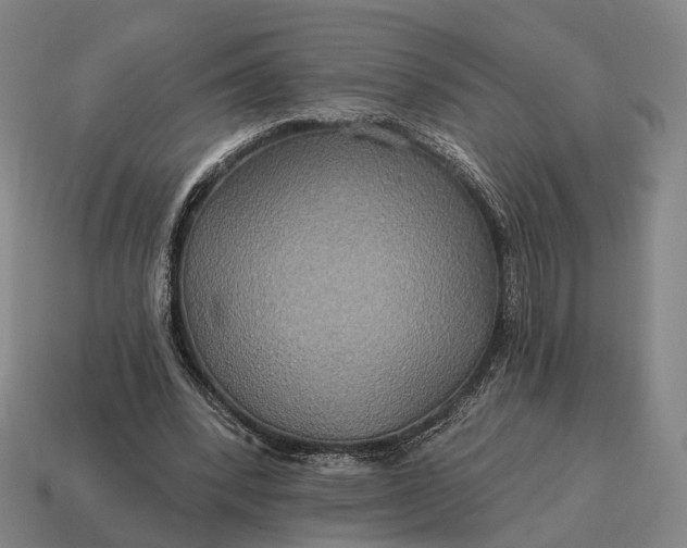 X0000115090392200911101528