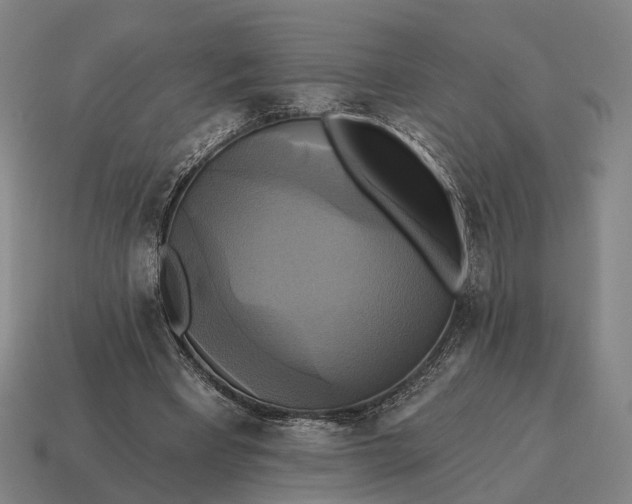 X0000115090393200911101528