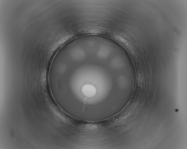 X0000115090394200911101528