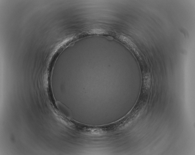 X0000115090395200911101528