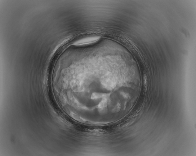 X0000115090396200911101528