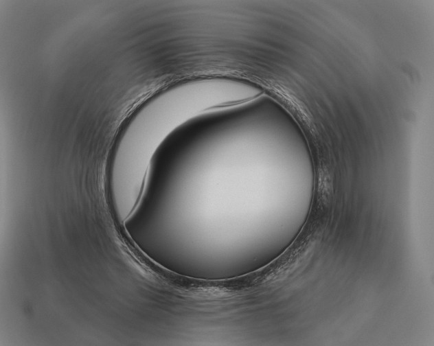X0000115090397200911101528